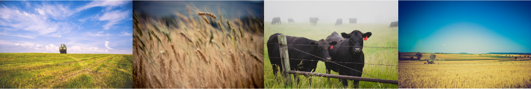 Farming Collage